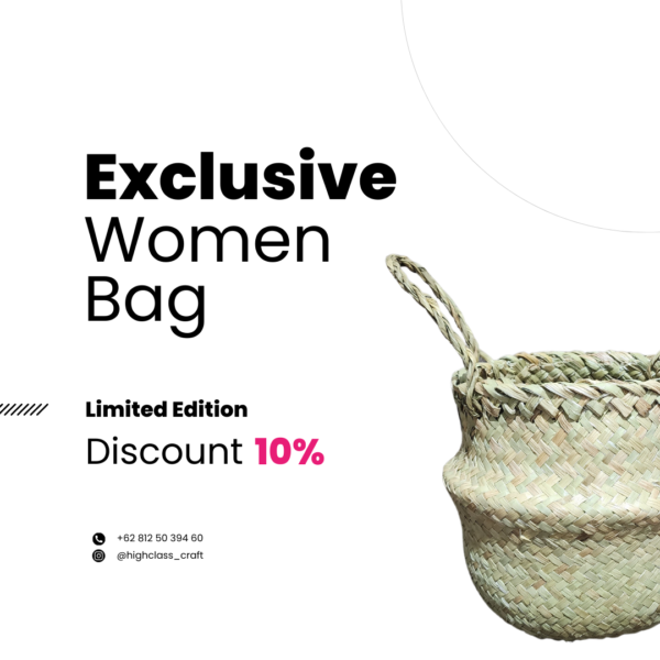 Exclusive Women Bag